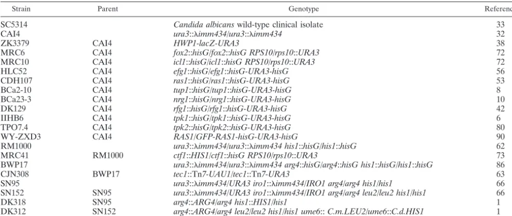 TABLE 1. Candida albicans strains used in this study