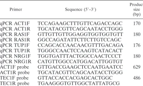 TABLE 2. Primers used in this study