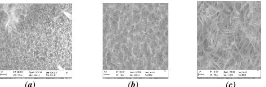Figure 2 (a-c) show the scanning electron micrograph of the film deposited on stainless steel and obtained by heating the solution bath of the anionic precursor to 70oC