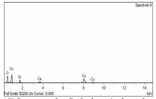 Fig. 3. EDAX Spectrum for CuO  deposited on glass substrate.  