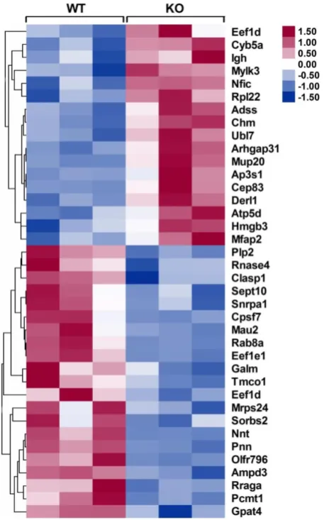 Figure 8. Heat maps of differentially expressed proteins in the 