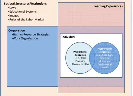 Fig. 1 Internal and external contextual inﬂuences on productive adult development as studied at the JCLL