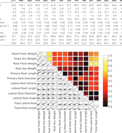 Table 2. Genotypic variation in shoot and root traits assayed at 18 DAS among the parents (IMB211, R500) and 14 recombinant inbred lines of the Brassica rapa BraIRRI mapping population grown for 15 days in the phenotyping platform