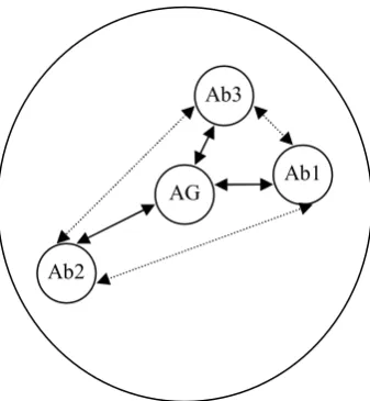 Figure -2. Illustration of the idiotypic effect 