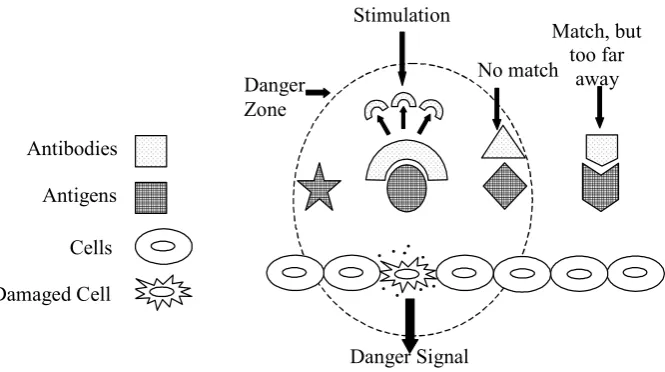 Figure -4. Danger Theory Illustration 