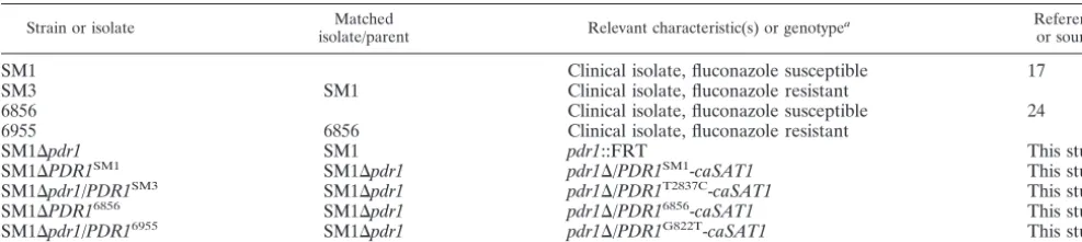 TABLE 1. C. glabrata isolates/strains used in this study