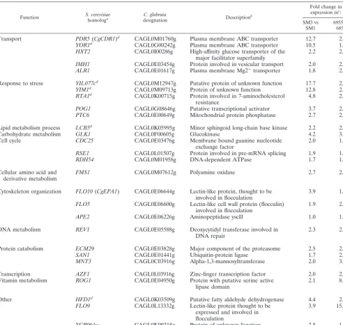 TABLE 4. Genes upregulated by at least 1.5-fold in both clinical isolate sets