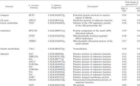 TABLE 5. Genes downregulated by at least 1.5-fold in both clinical isolate sets