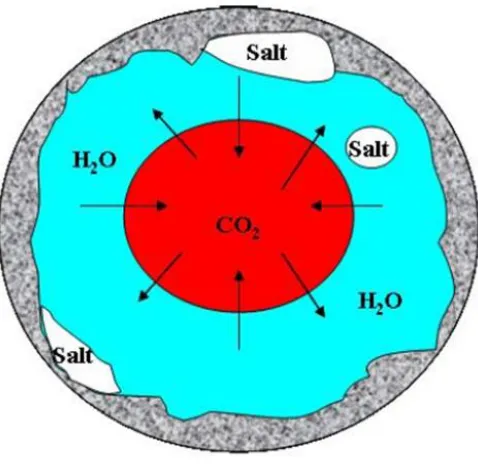 Figure 2.5 : Schematic of CO 2/water mutual dissolution in porous media [39] 