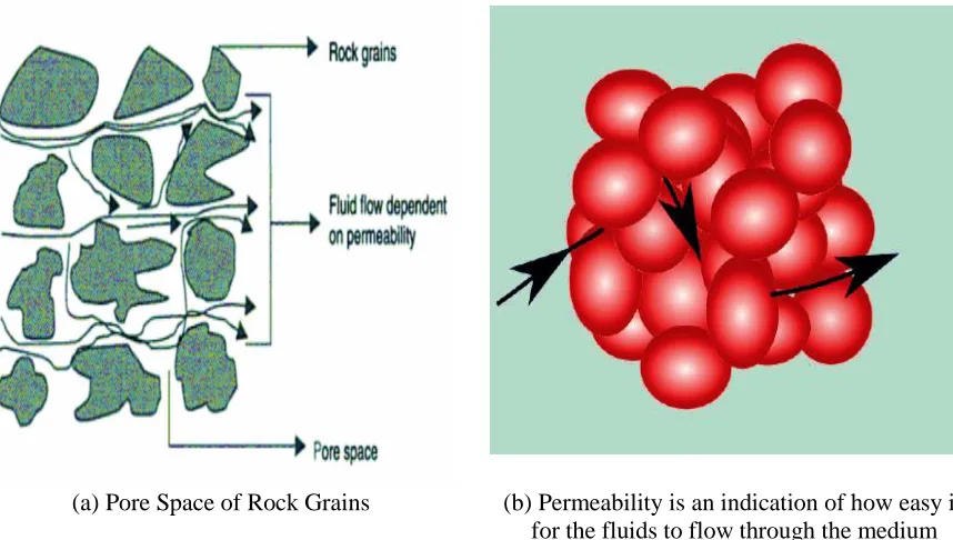 Figure 2.9 : Permeability is an indication of how easy it is for the fluids to flow through the medium [47] 