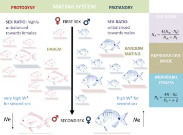 Figure 1. Interplay among individual fitness, life-history traits and population dynamics