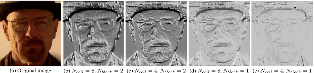Fig. 1. Example of dense HOG features. Ncell denotes the cell height and width in pixels and Nblock denotes the number of cells that consista block