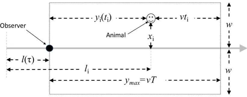 Figure 1.Line transect notation. The grey line is a transect line that starts on the leftof the ﬁgure