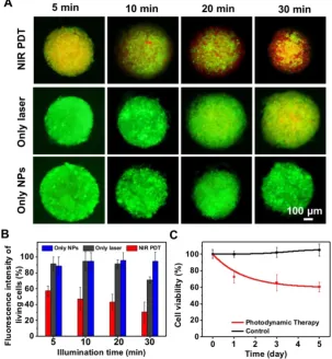 Figure 7. Apoptosis and necrosis staining of MDA-MB-231 cells after PDT based on UCNP@TTD-cRGD NPs