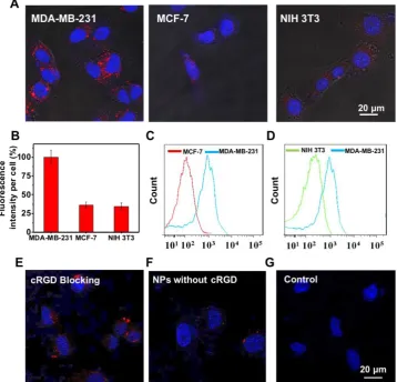 Figure 3. Targeting study of UCNP@TTD-cRGD NPs. (conjugation. (A) Fluorescent images of MDA-MB-231, MCF-7, NIH 3T3 cells after incubation with UCNP@TTD-cRGD NPs (5 μg mL-1 of TTD) for 4 h