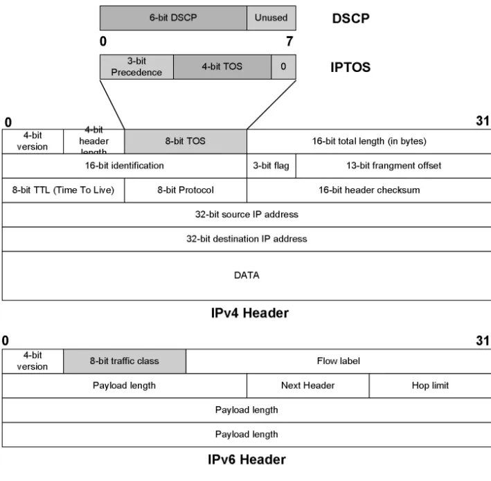 Figure 3.4 Structure of IPTOS and DSCP in IPv4 and IPv64-bit