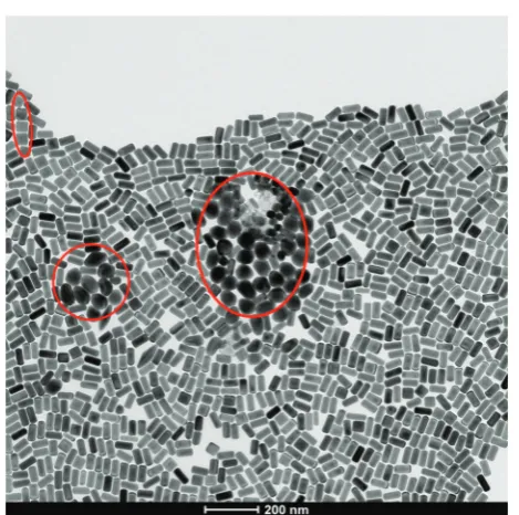 Fig. 3(a) Transmission Electron Microscopy (TEM) micrographs of Nanoparticles Shape Library developed within CBNI.51 From the top left: goldnanotrisoctahedra, faceted gold nanorods (top view), gold nanocubes, gold nanorods, gold nanoprisms, gold nanostars 