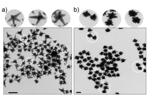 Fig. 5TEM micrographs of so-called, (a) gold nanostars and (b) goldshort-tipped nanostars (also referred to as urchin-like nanoparticles)