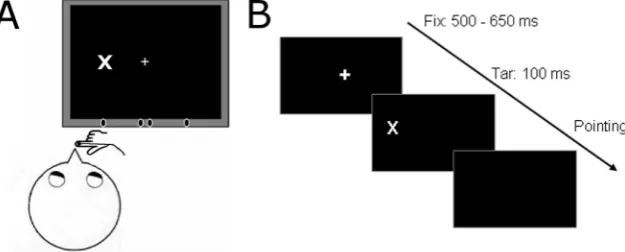 Fig. 3. Setup and task for the cross-modal attention ex-periment. A.sented for 100 ms at one out of seven possible locations, at−the Participants ﬁxated at +19° from the body/head midline