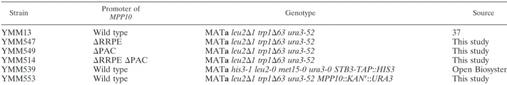 TABLE 1. Yeast strains used in this study