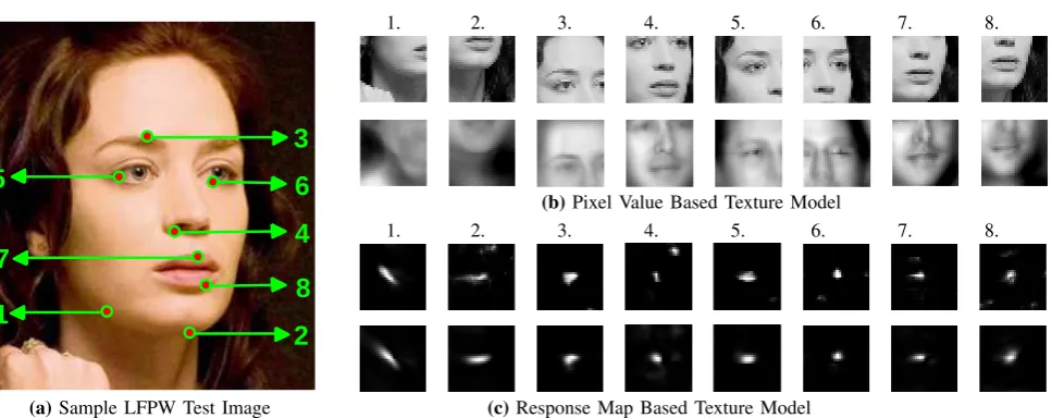 Fig. 2: Pixel Value based vs. Response Map based texture model: (a) Sample test image from LFPW with relevant landmarkslabelled 1–8