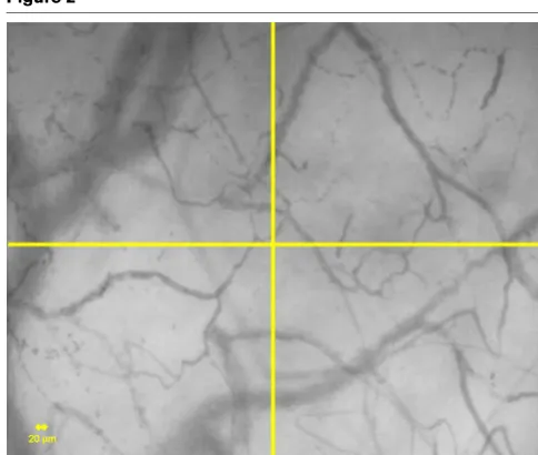 Figure 1Figure 2
