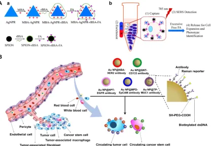 Figure 11. Capture, detection and release of CTCs. (A) Schematic of the preparation of a supersensitive CTC analysis system based on Ag nanoprisms and SPION (a), and its application to the capture, enrichment, detection, and release of CTCs (b)