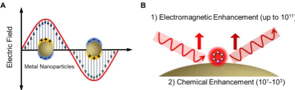 Figure 3. Representative SERS substrates. (A) Nanostructured surfaces prepared by controlled deposition of NPs or lithographic/template synthesis methods