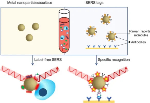 Figure 4. SERS-based liquid biopsy analysis using a label-free SERS approach (left) or SERS tags (right)