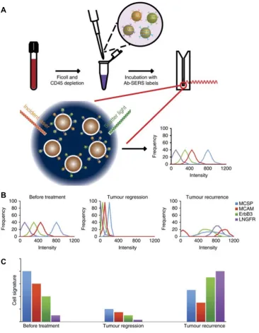 Figure 10. (A) Experimental workflow for the use of four melanoma surface marker antibodies (MCSP, MCAM, ErbB3, and LNGFR)-modified SERS tags to monitor populations are in terms of surface marker expression levels