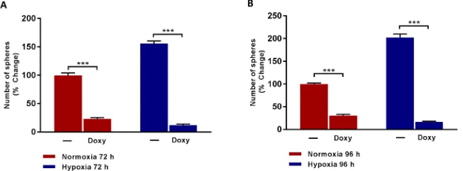 Figure 4: Doxycycline inhibits the formation of mammosphere induced by prolonged hypoxia