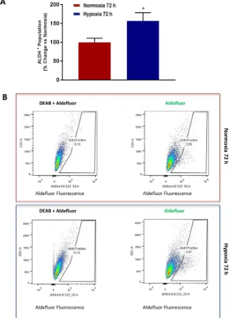 Figure 8: Chronic hypoxia increases the CSC marker ALDH. Evaluation of ALDEFLUOR activity, an independent marker of CSCs in MCF7 cells cultured in Normoxia (21% O2) or Hypoxia (1% O2) for 72 h A.