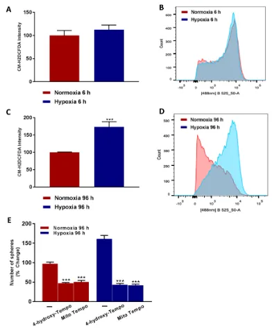 Figure 9: Higher ROS levels ‘boost’ hypoxic CSC propagation. Evaluation of ROS levels by FACS analysis using the CM-H2DCFDA probe in MCF7 cells cultured in Normoxia (21% O2) or Hypoxia (1% O2) for 6 h A