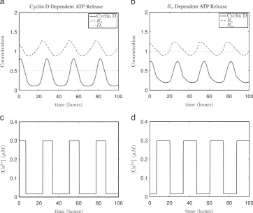 Fig. 6. Proportional reduction in cell cycle period as a function ofTables D1 λj and λk
