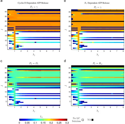 Fig. 7. Numerical results indicating that, for all parameter regimes, the cell cycle period remains weakly dependent on the calcium coupling strengthnot included in the particular model variant