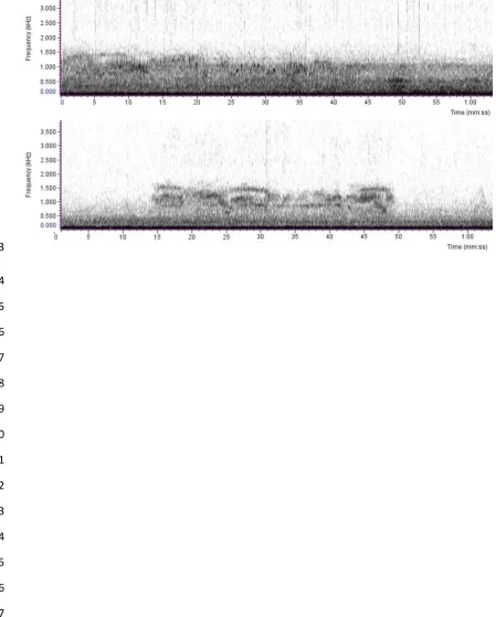 Fig. 2 Sound spectrograms of black-fronted titi monkey loud call, at Peti Environmental Station southeast 
