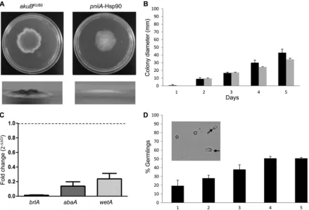 FIG 2 Hyphal growth, germination, and conidiation defects of the(gray bars) over 5 days on AMM (20 mM ammonium)