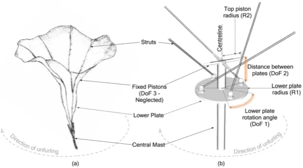 Figure 1: Biomimetically inspired deployable canopy.
