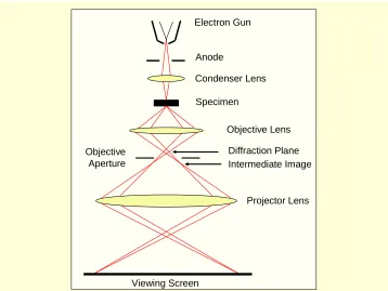Figure 2.6 Schematic representation of electron microscope