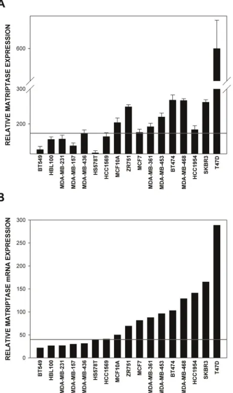 Figure 1. Analysis of matriptase mRNA and protein levels ina panel of 16 human breast cancer cell lines and a non-tumorigenic breast epithelial cell line MCF10A