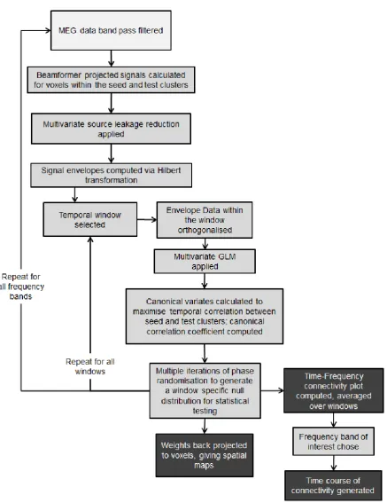 Figure 3: Flowchart summarising the windowed CCA data analysis pipeline. 