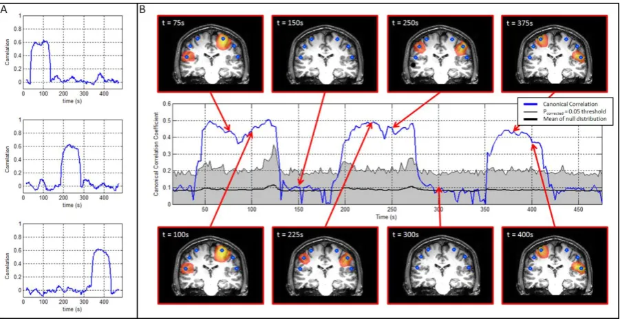 Figure 5: Results of the proof of principle simulation. A) Shows the temporal evolution of simulated connectivity computed 