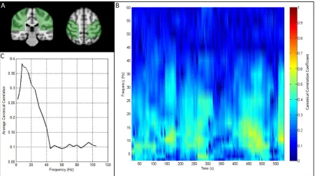 Figure 7: Resting state motor network connectivity. A) Green overlays show the anatomical locations of the seed and test clusters, in left and right sensorimotor regions respectively