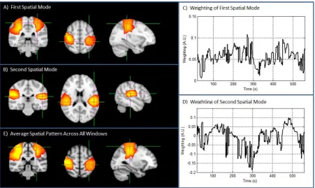 Figure 9: Spatial modes of correlation. A) and B) show the first and second spatial modes of correlation respectively; the timecourses showing the contribution of each time window to the first and second spatial modes are shown in C and D