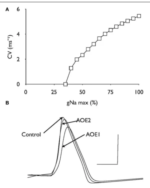 FIGURE 4 | Firing rate is unchanged after AOE. (A) Action potentials