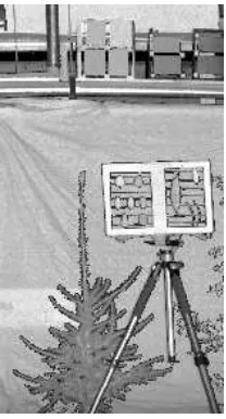 Fig. 3. SALCA scan of the leaf holder on rotatable tripod with calibrationpanels above
