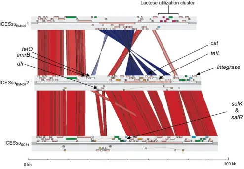 Figure 6. Comparisons of the ICE regions from S. suisand ICE strains BM407 and SC84. The results of a TBLASTX comparison of the ICESsuBM4071SsuBM4072 regions from strain BM407, and ICESsuSC84 from strain SC84 is displayed using the Artemis Comparison Tool (ACT) [26].doi:10.1371/journal.pone.0006072.g006