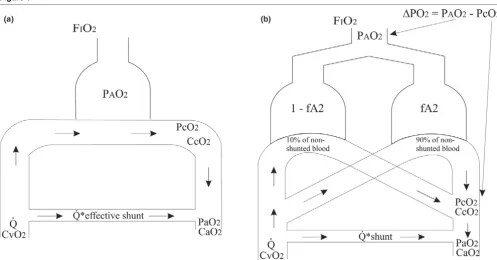 Figure 1Mathematical models of pulmonary gas exchange. Mathematical models of pulmonary gas exchange(a) The 'effective shunt' model