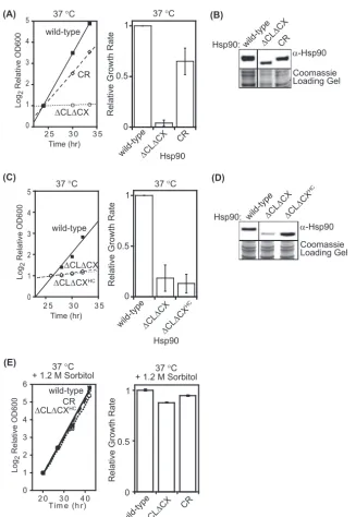 FIG 2 Quantiﬁcation of growth defects offrom a representative experiment) and analyzed to determine the average growth effect and the variation between replicates