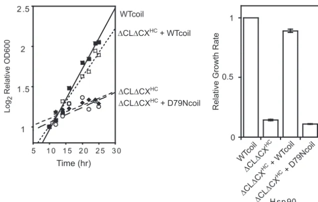 FIG 3 Solubility-promoting and ATPase activities were required in the same Hsp90 molecule for robust growth